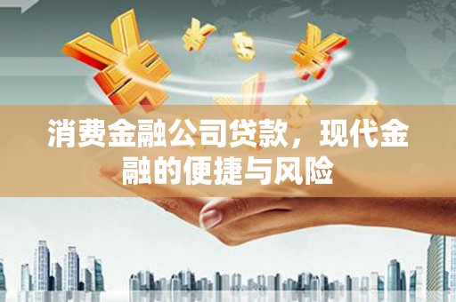 莱城消费金融公司贷款，现代金融的便捷与风险
