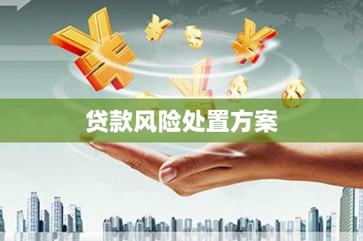 莱城贷款风险处置方案