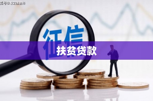 莱城扶贫贷款