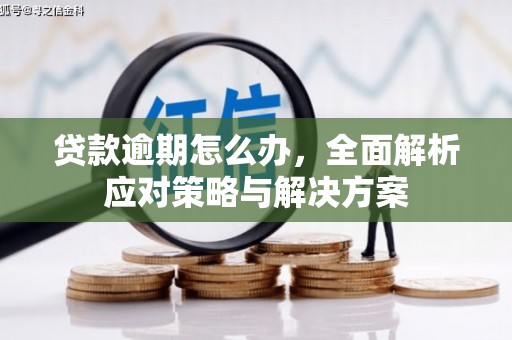 莱城贷款逾期怎么办，全面解析应对策略与解决方案
