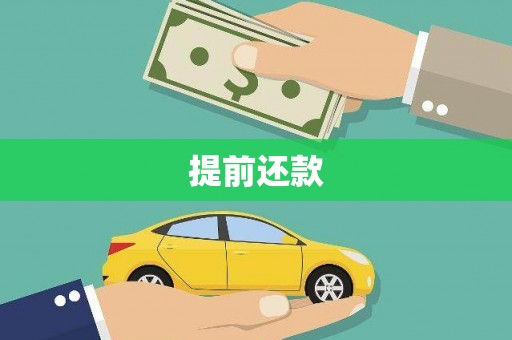 莱城提前还款