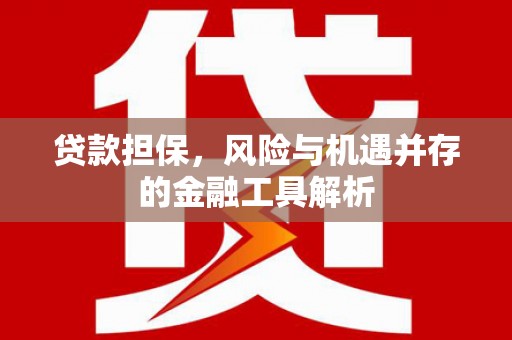 莱城贷款担保，风险与机遇并存的金融工具解析