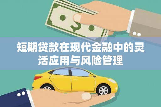 莱城短期贷款在现代金融中的灵活应用与风险管理