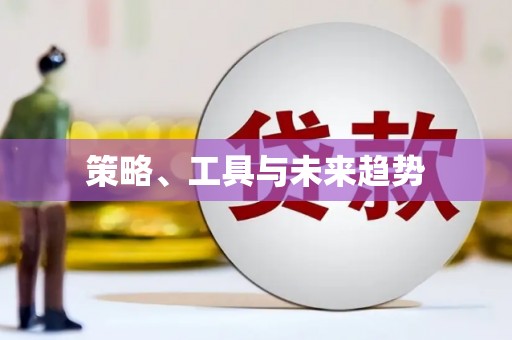 莱城策略、工具与未来趋势