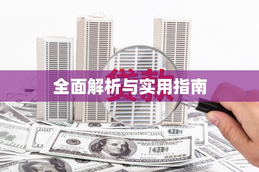 莱城全面解析与实用指南