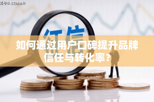 莱城如何通过用户口碑提升品牌信任与转化率？