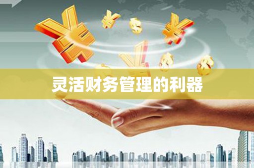 莱城灵活财务管理的利器