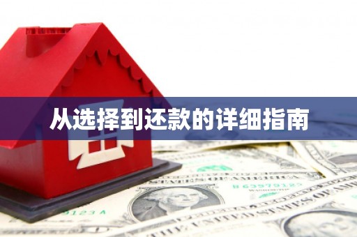 莱城从选择到还款的详细指南