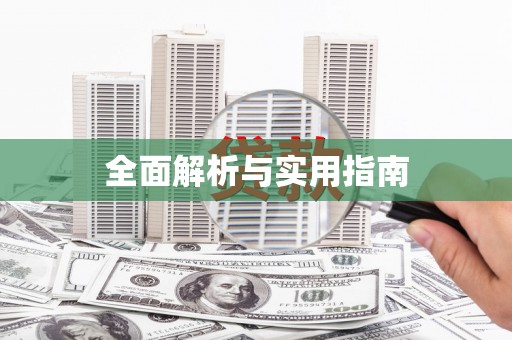 莱城全面解析与实用指南