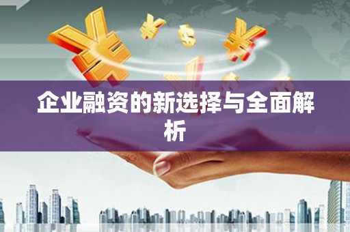 莱城企业融资的新选择与全面解析