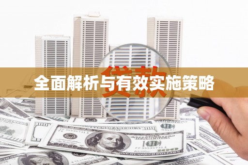 莱城全面解析与有效实施策略
