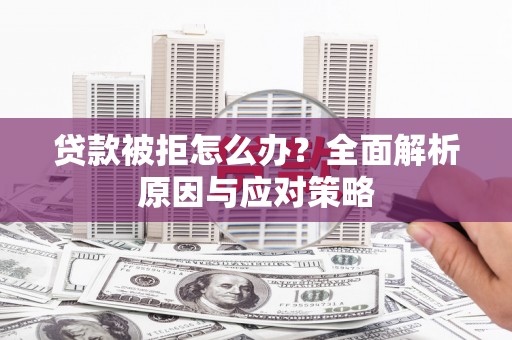 莱城贷款被拒怎么办？全面解析原因与应对策略