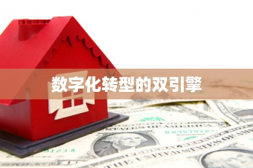 莱城数字化转型的双引擎