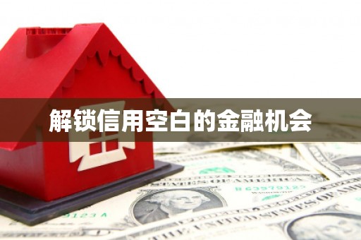 莱城解锁信用空白的金融机会