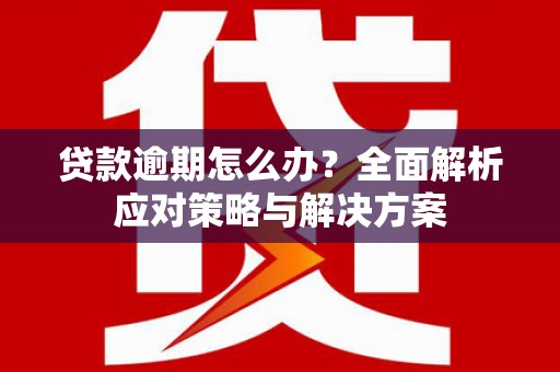 莱城贷款逾期怎么办？全面解析应对策略与解决方案