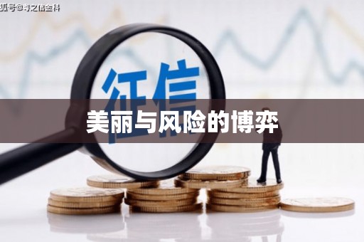 莱城美丽与风险的博弈