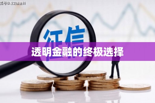 莱城透明金融的终极选择