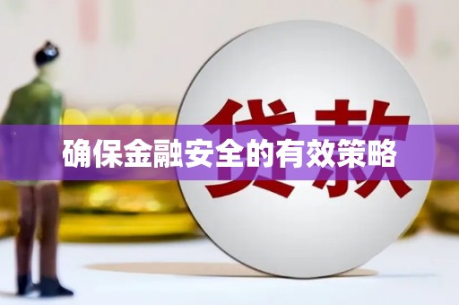 莱城确保金融安全的有效策略