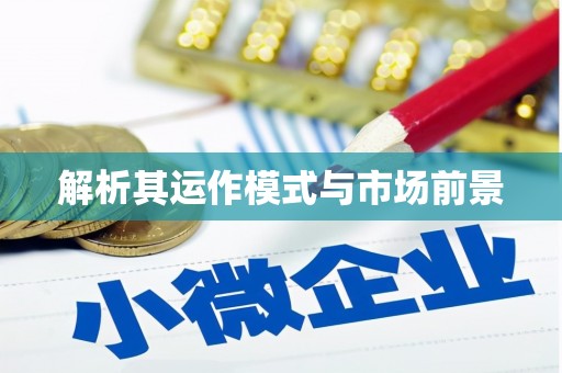莱城解析其运作模式与市场前景