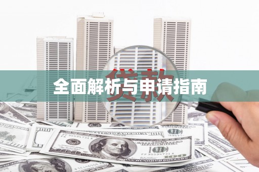 莱城全面解析与申请指南
