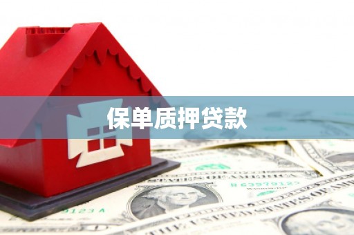 莱城保单质押贷款