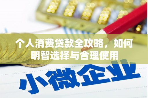 莱城个人消费贷款全攻略，如何明智选择与合理使用