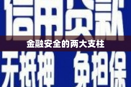 莱城金融安全的两大支柱