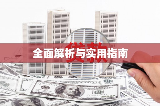 莱城全面解析与实用指南