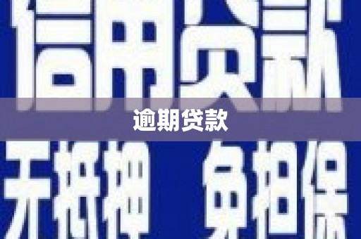 莱城逾期贷款