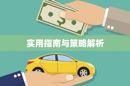 莱城实用指南与策略解析