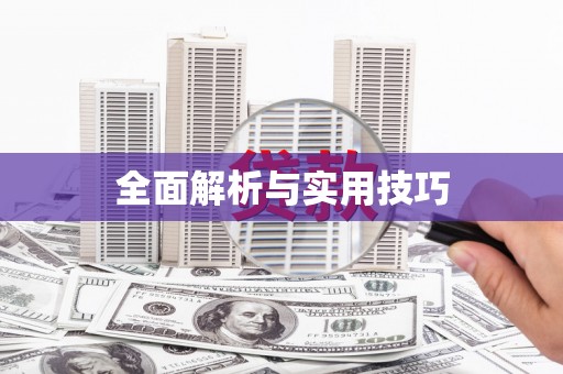 莱城全面解析与实用技巧
