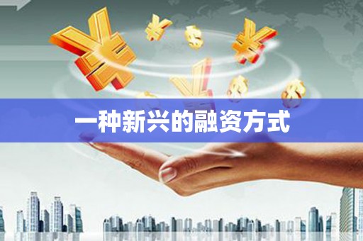 莱城一种新兴的融资方式