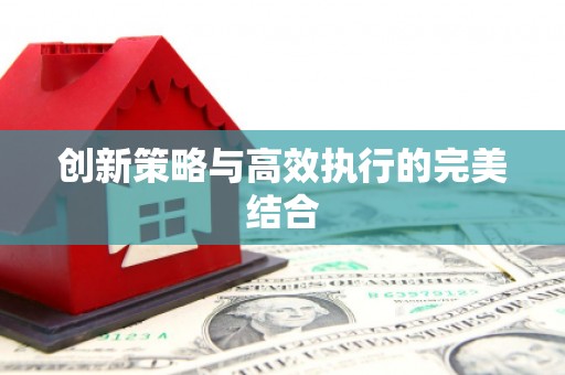 莱城创新策略与高效执行的完美结合