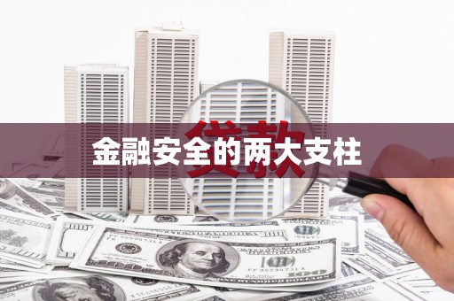 莱城金融安全的两大支柱