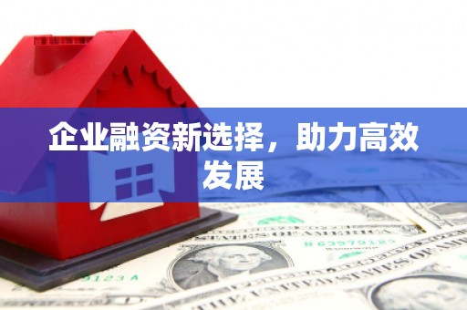 莱城企业融资新选择，助力高效发展