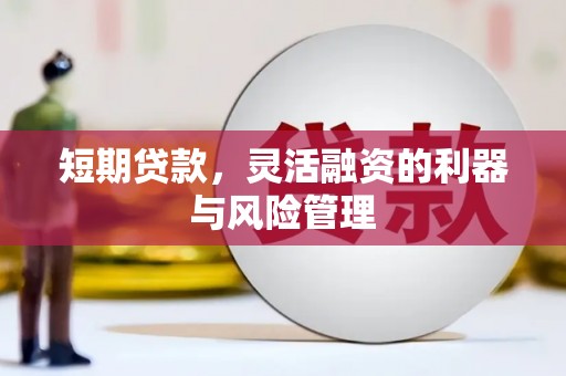 莱城短期贷款，灵活融资的利器与风险管理