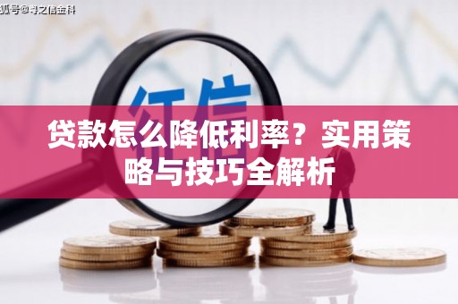 莱城贷款怎么降低利率？实用策略与技巧全解析